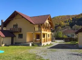 Casa Abrudan