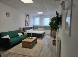Doppelzimmer-Studio für 2