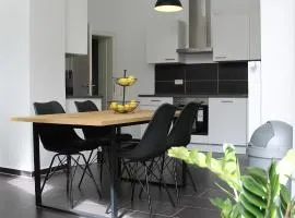Große Wohnung im Zentrum mit 6 Betten