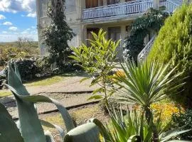 Shonikebi Guest House