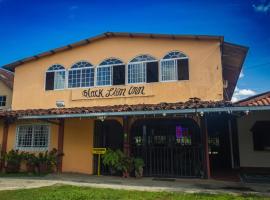 Black Lion Inn, guest house in Santiago