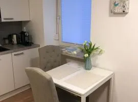 Kleine feine Wohnung Gmunden City