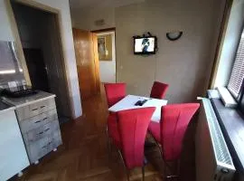 Stan na dan Iva 5