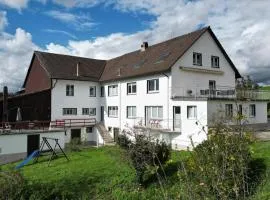 Große Monteur- und Handwerkerwohnung für 8 Personen mit 4 Schlafzimmern in Aichen bei Waldshut-Tiengen