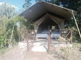 Midori mara hill safari camp