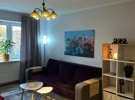 Spacious & cozy apartment, free parking, contact-free entrance