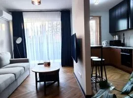 Apartament Park Chorzów, FV, bezpłatny parking, klimatyzacja