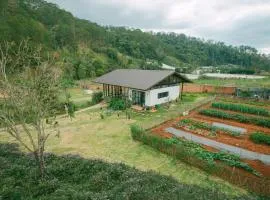 Shanti Wellness Sanctuary