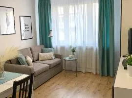 3-Room Apartment, City Center, Netflix & Wifi