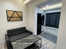 New cozy apart in parkent street