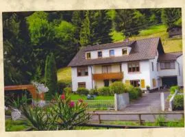 Komfortable Apartments Steger
