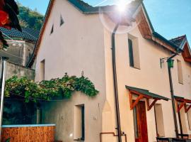 Casa Ursului - Rustic house in traditional village, Hotel in Sadu