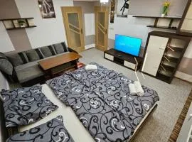 APARTMAN WOLF Luxusné priestranné ubytovanie s Výhľadom na hory s Bezplatným Parkovaním Veľkou plochou TV Rýchlym Optickým Internetom Priamo v PB Tichá lokalita Všetko na blízku Vhodné pre Rodinu Skupinu Pracovné cesty aj Turistiku Plne vybavená Kuchyňa