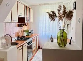 Central Apartment