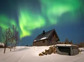 Bestefarhaugen - the cozy house on the hill & dome