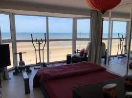 Villaloha Deluxe Bray-dunes Beach