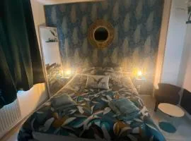 Chambre Paon avec partie commune A 6min de l A26 et 15 min de stOmer, lumbres et aire sur la lys