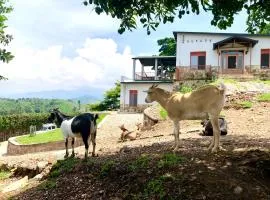 Amazi Land Home and Farm Stay
