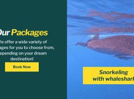 Whale shark private trip, hotel in Sumbawa Besar