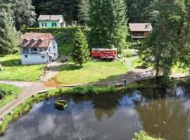 L'étang de Belval - Vosges