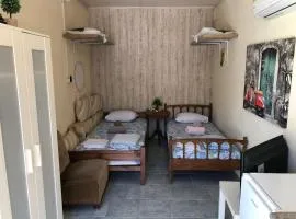Converted Shed Studio & Garden Hanging Bed