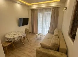 Alex Apartments ,50m from the sea,FREE PRIVATE PARKING