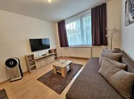 Center Budapest entire Apartment