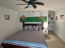 Casa Motmot