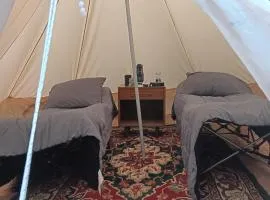 King Creole #3 - Glampsite at Farm and Bok Vegas Petting Zoo