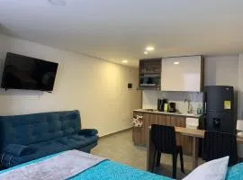 Estocolmo magnífico aparta estudio 307