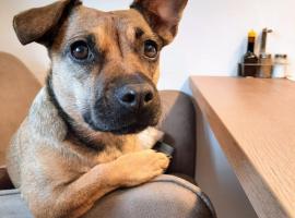 Garten Seeapartments Kärntnerhof Hundefreundlich, hotel di Weissensee