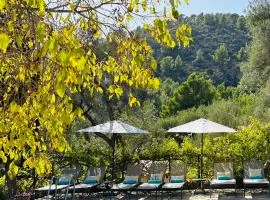 Agroturismo Son Penyaflor