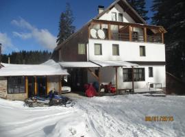 Bed and Breakfast Vila Lala, hotel in Jahorina