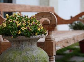 大花紫薇田園民宿-附電梯, מלון בג'יאן