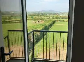 Conagh View