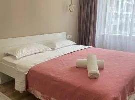 3 bedroom apartment with 2 restroom in the Ala Park Business class