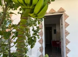 TASSOS-Haus