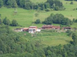 Chalet Pierre, hotel in Sainte-Marie-aux-Mines