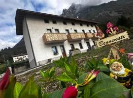 Agriturismo Ai 7 nani