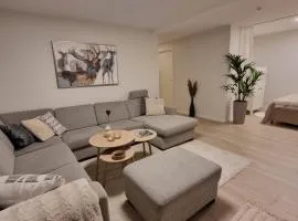 New renovated apartment near the airport with 3 double beds
