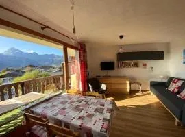 Appartement confortable 4 pers., proche pistes et commerces, parking, balcon Sud-Ouest, animaux admis - FR-1-733-91