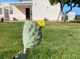 Sicilia holiday Etna house