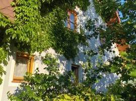 Ferienwohnung in der Thermenregion