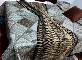 Apartamento frente a praia Santos