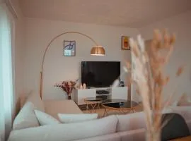 Sky Paradise 20min to zurich city centre