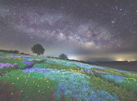 くじゅう花公園　キャンピングリゾート花と星, luxusní stan v destinaci Kuju