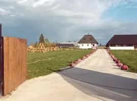 Casa cu lavanda Hardic