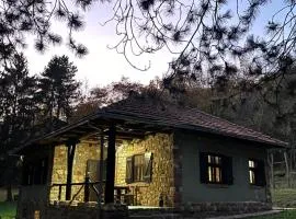 Vila Fruškogorski Mir
