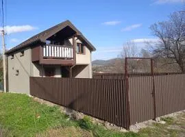 Галерея Карпат
