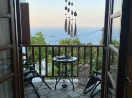 Winter Summer House